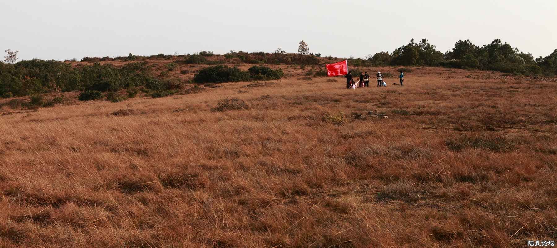 ���� (91).jpg