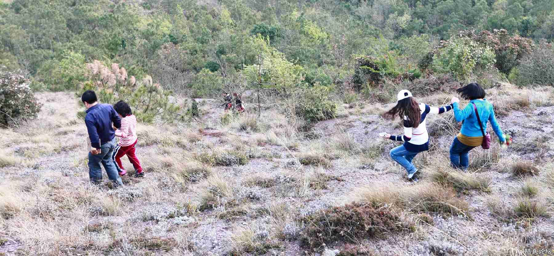 ���� (99).jpg