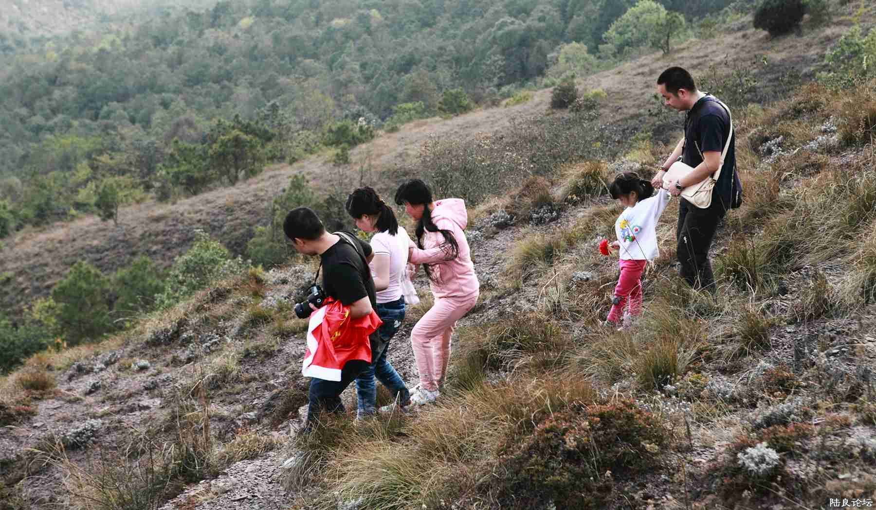 ���� (100).jpg