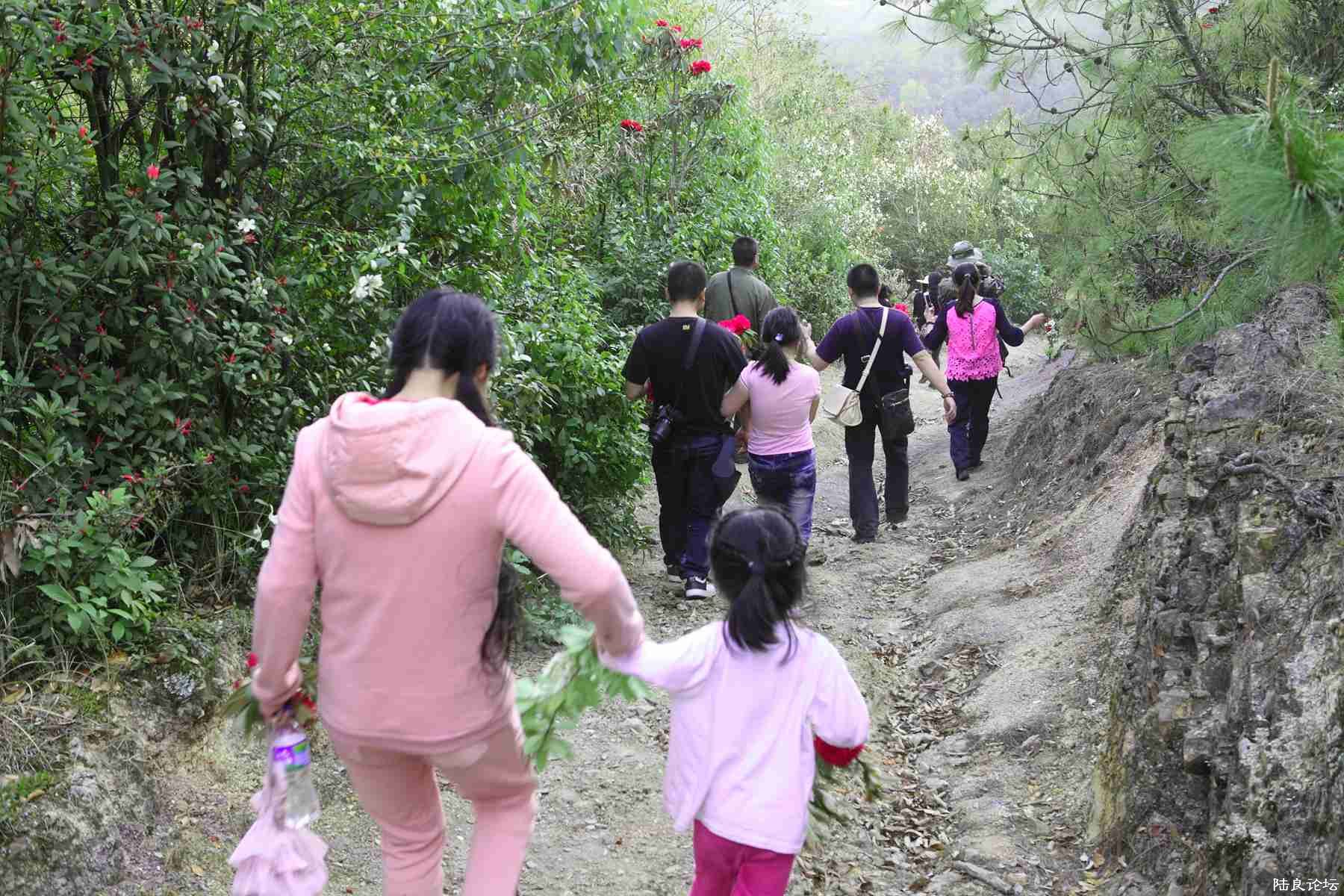 ���� (104).jpg