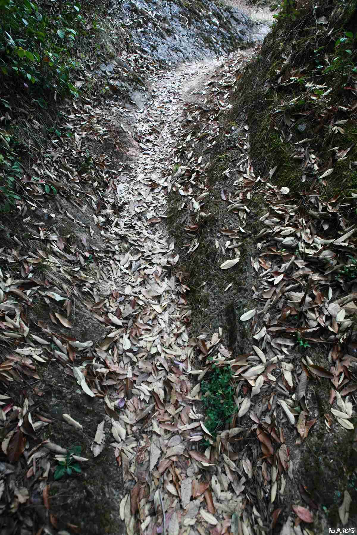 ���� (111).jpg