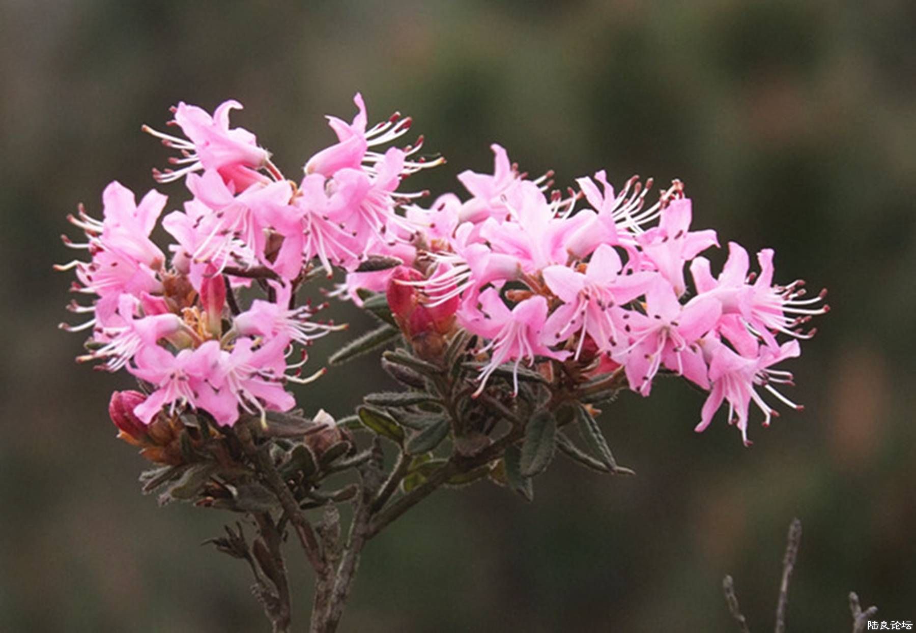 ���� (112).jpg