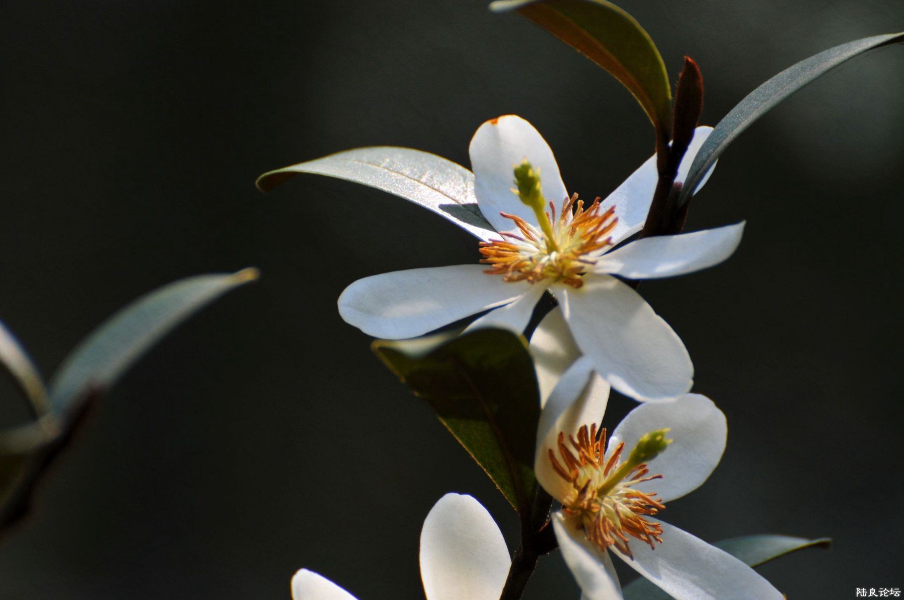 ���� (114).jpg