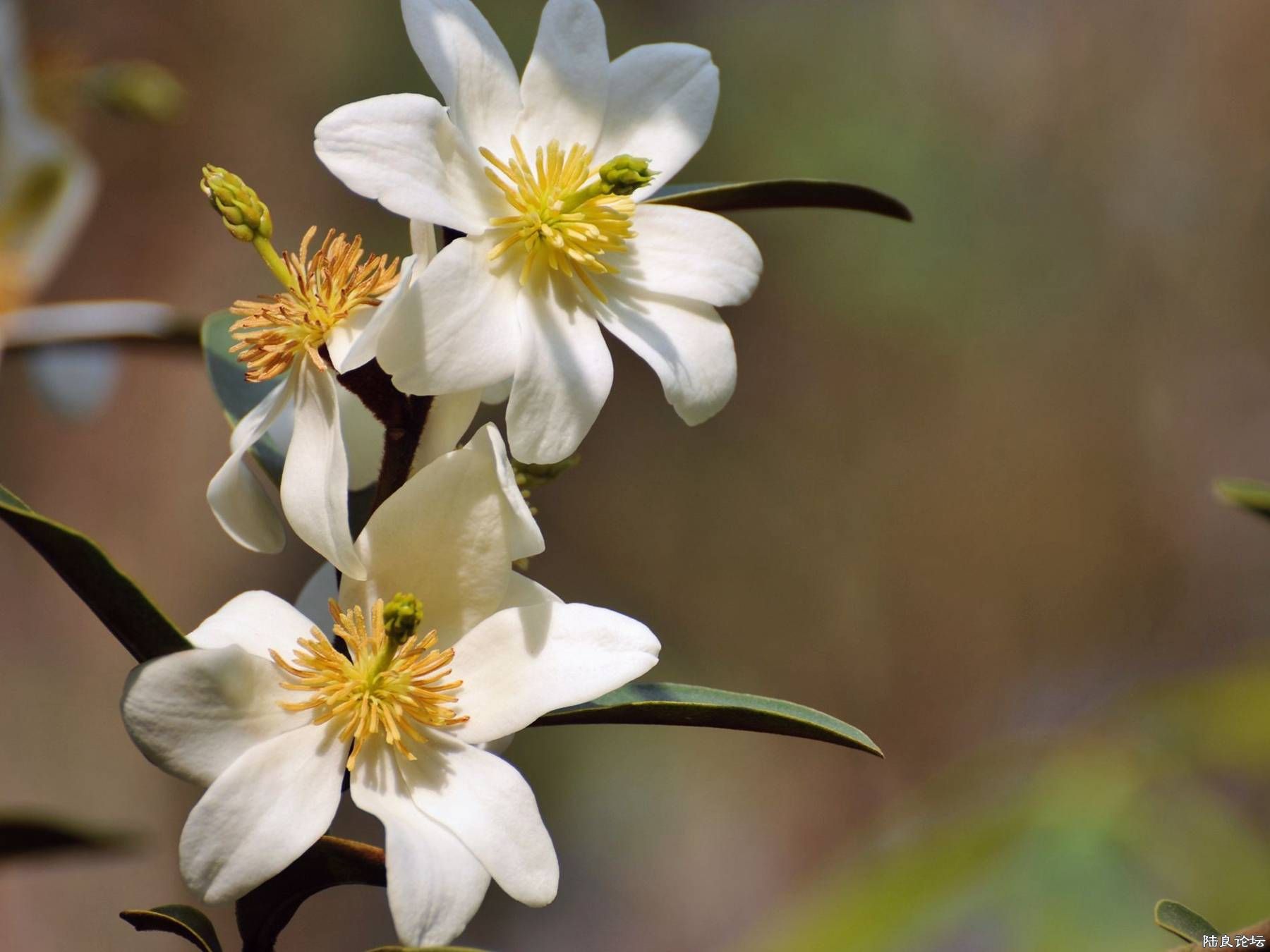 ���� (115).jpg