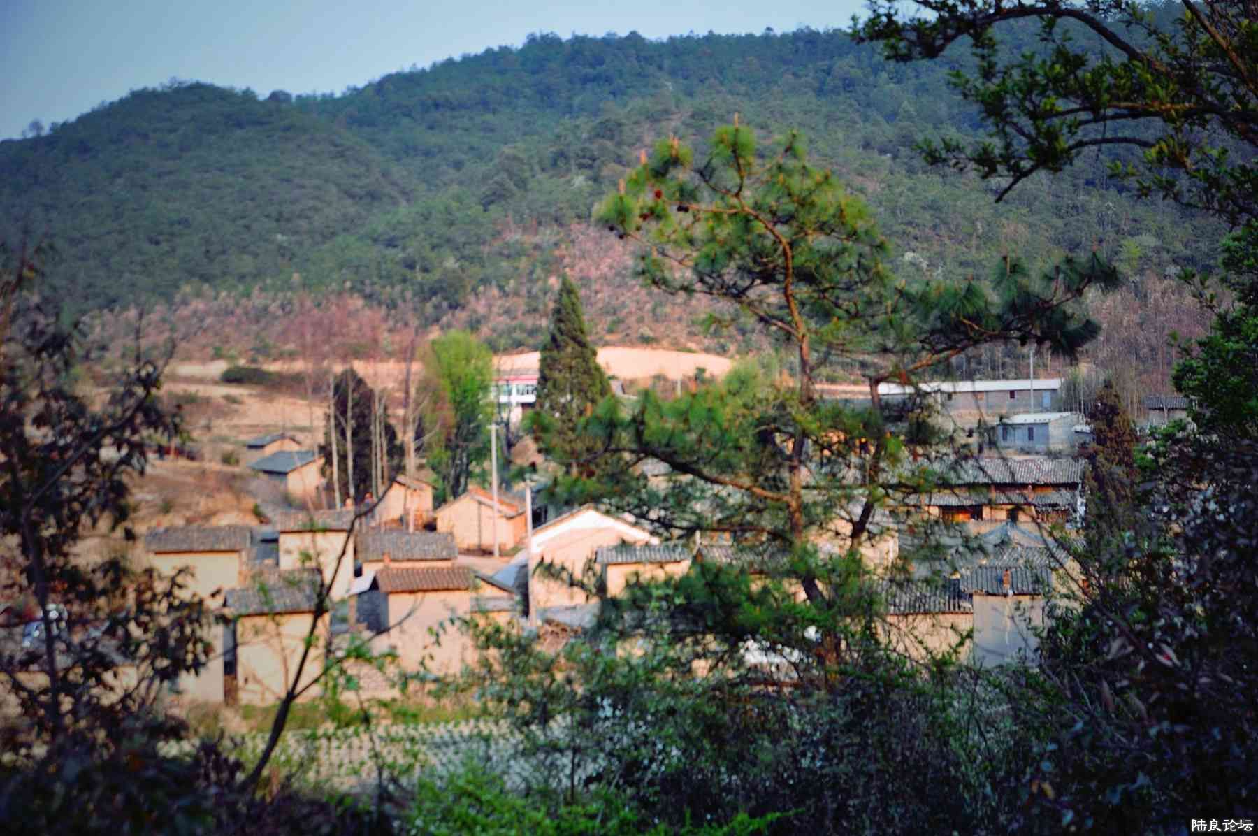 ���� (116).jpg