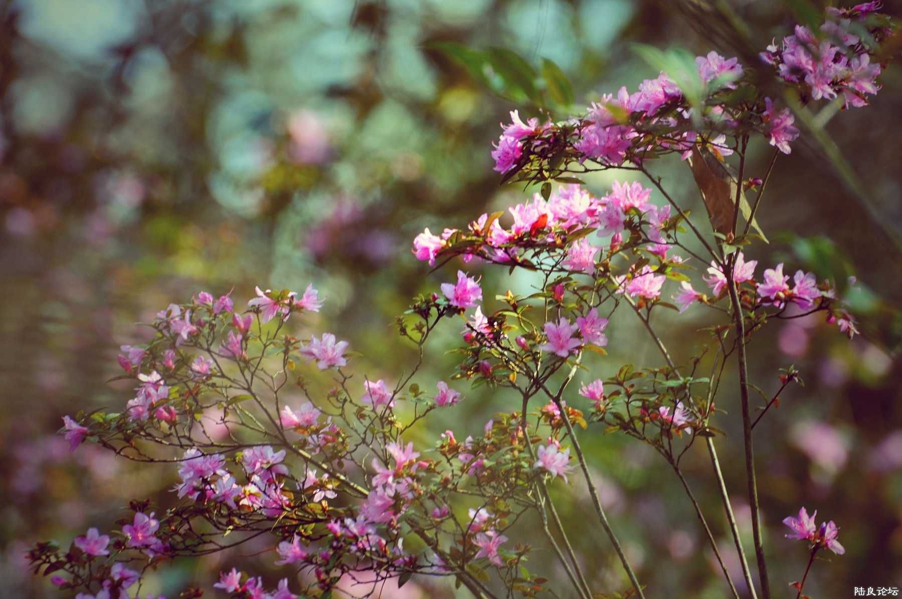 ���� (117).jpg