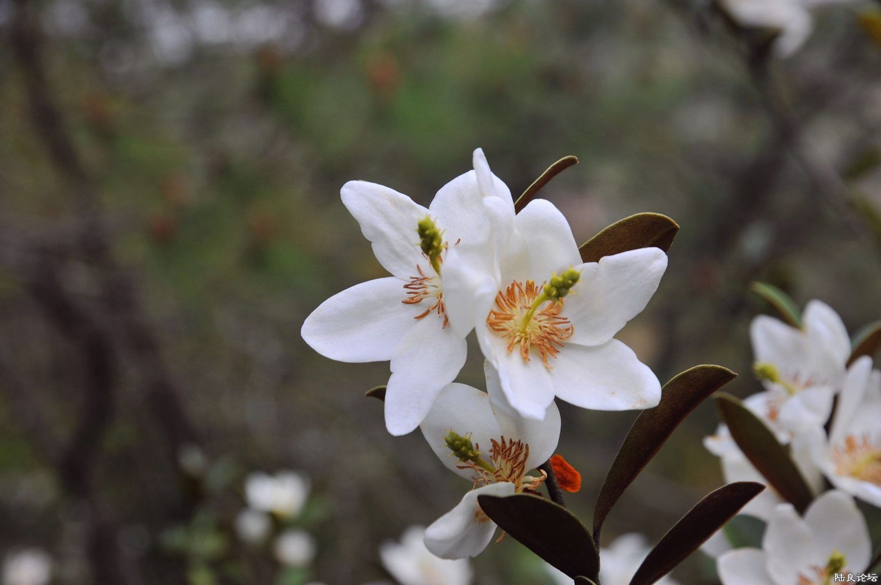 ���� (118).jpg