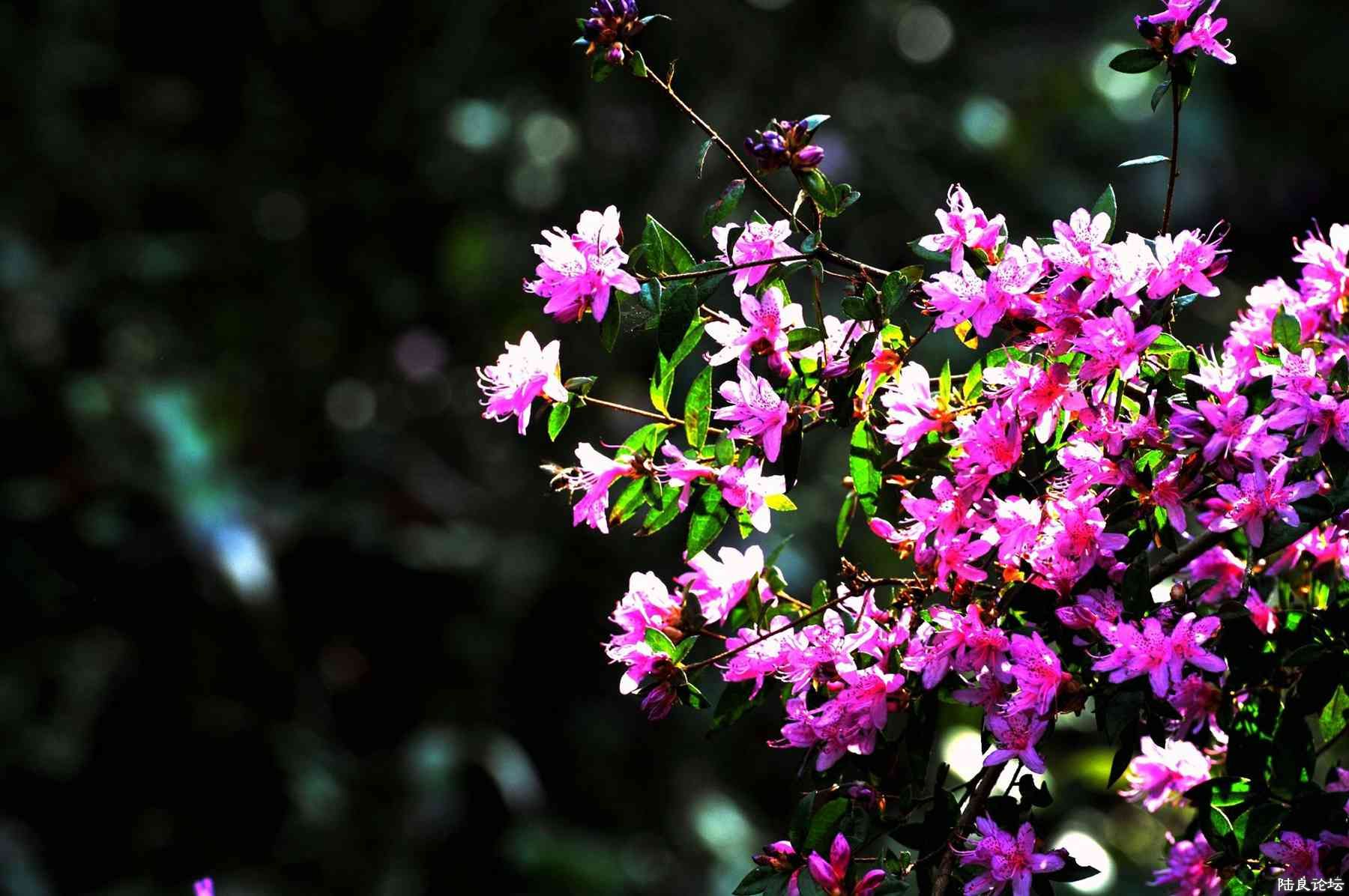 ���� (119).jpg