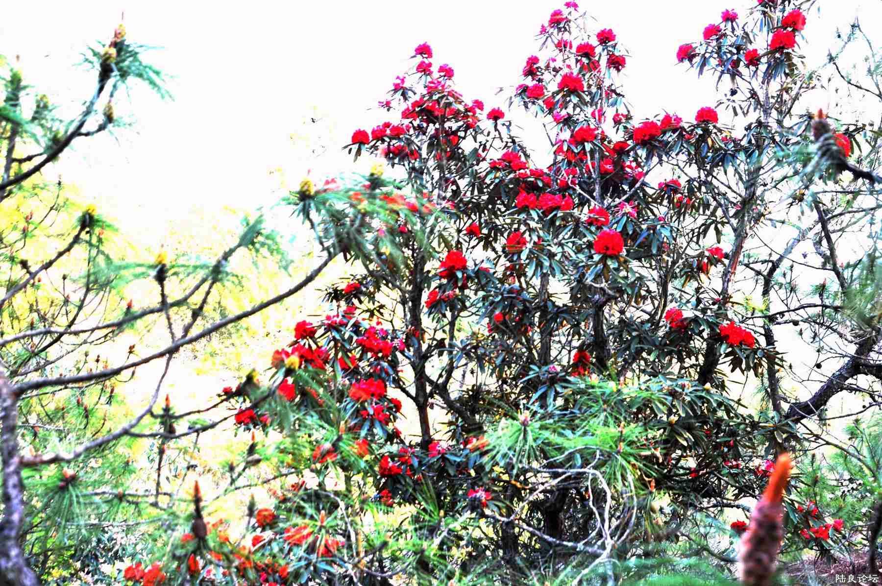 ���� (120).jpg