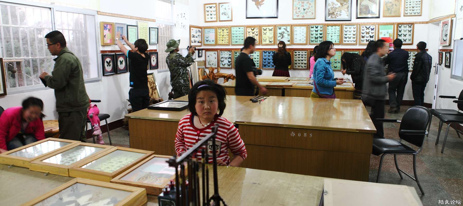 ���� (123).jpg