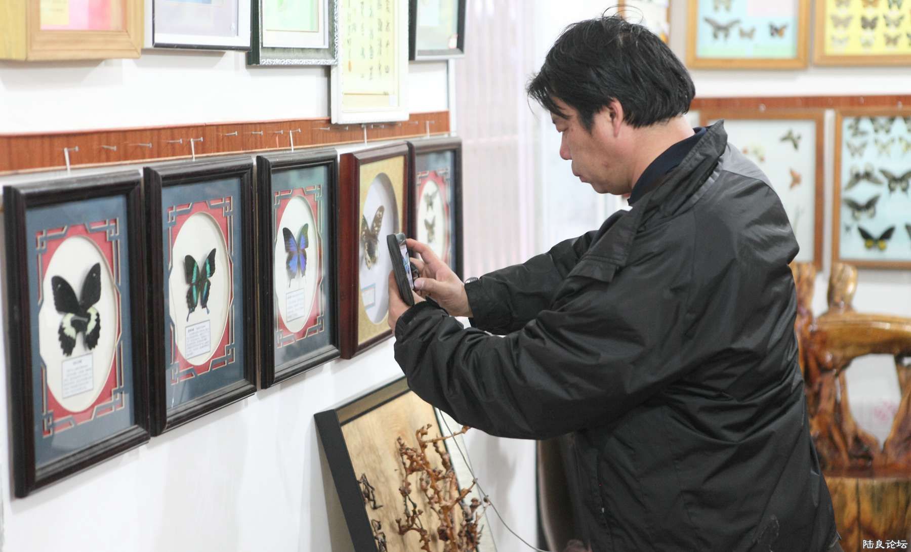 ���� (126).jpg