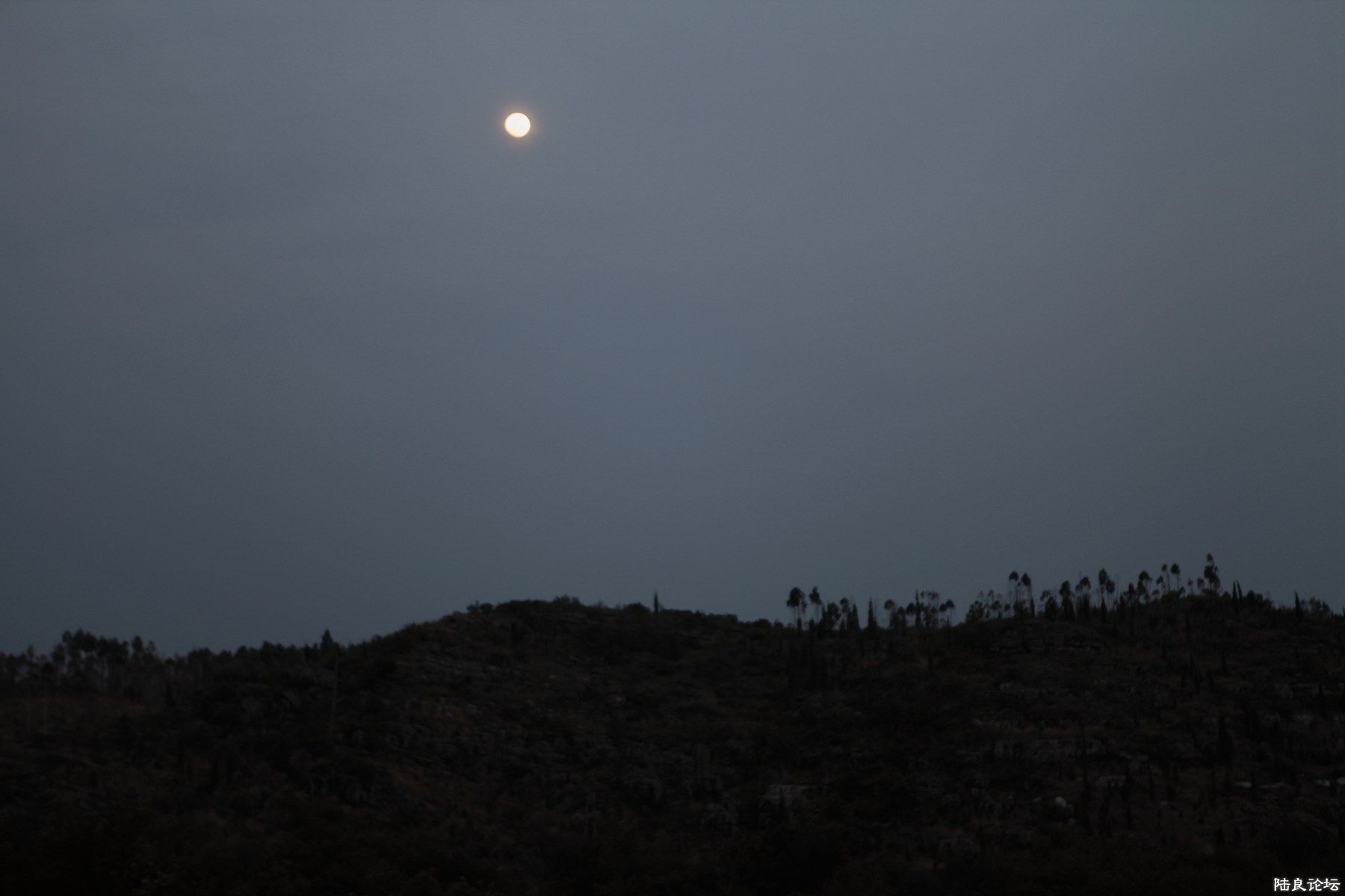 ���� (131).jpg