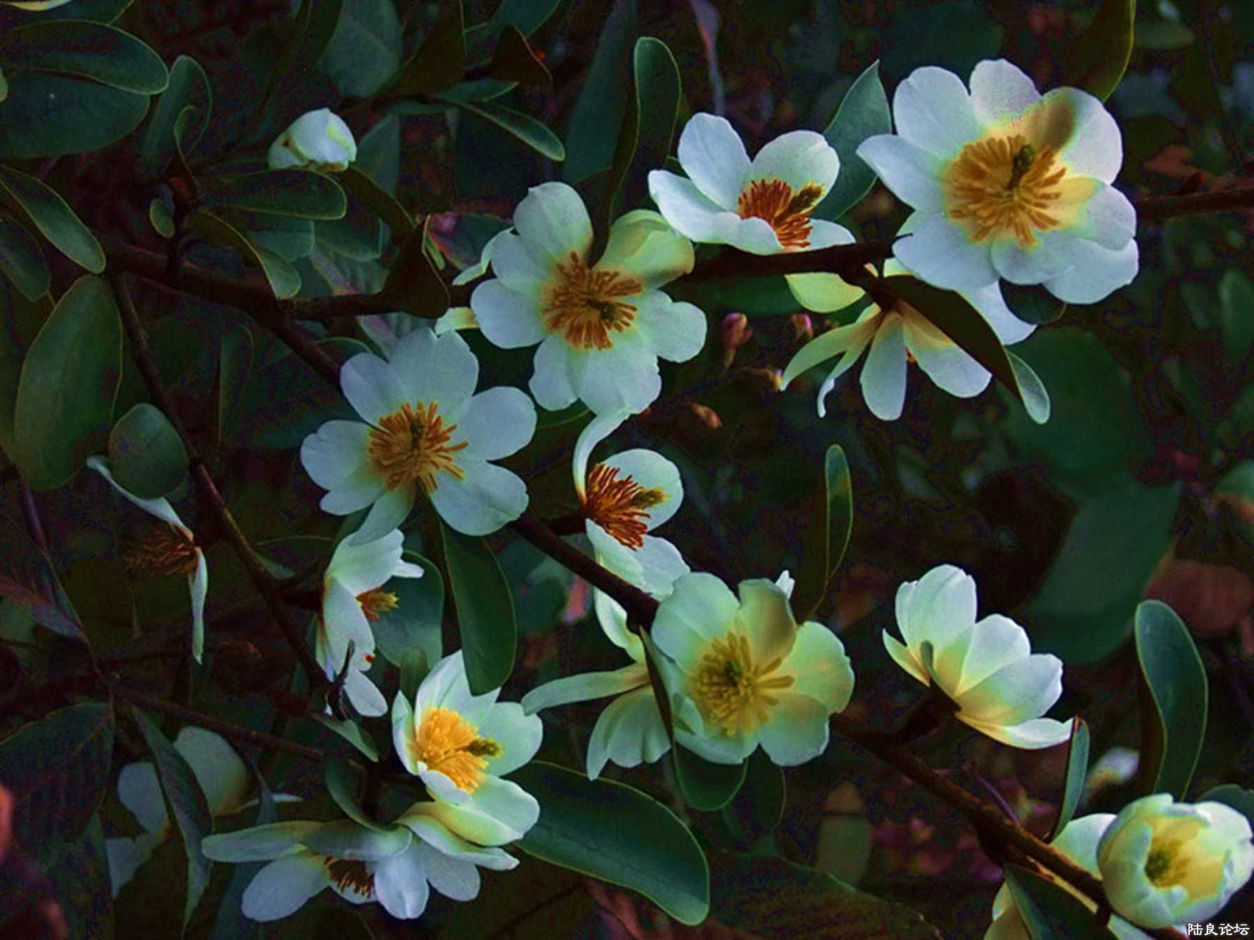 ���� (113).jpg