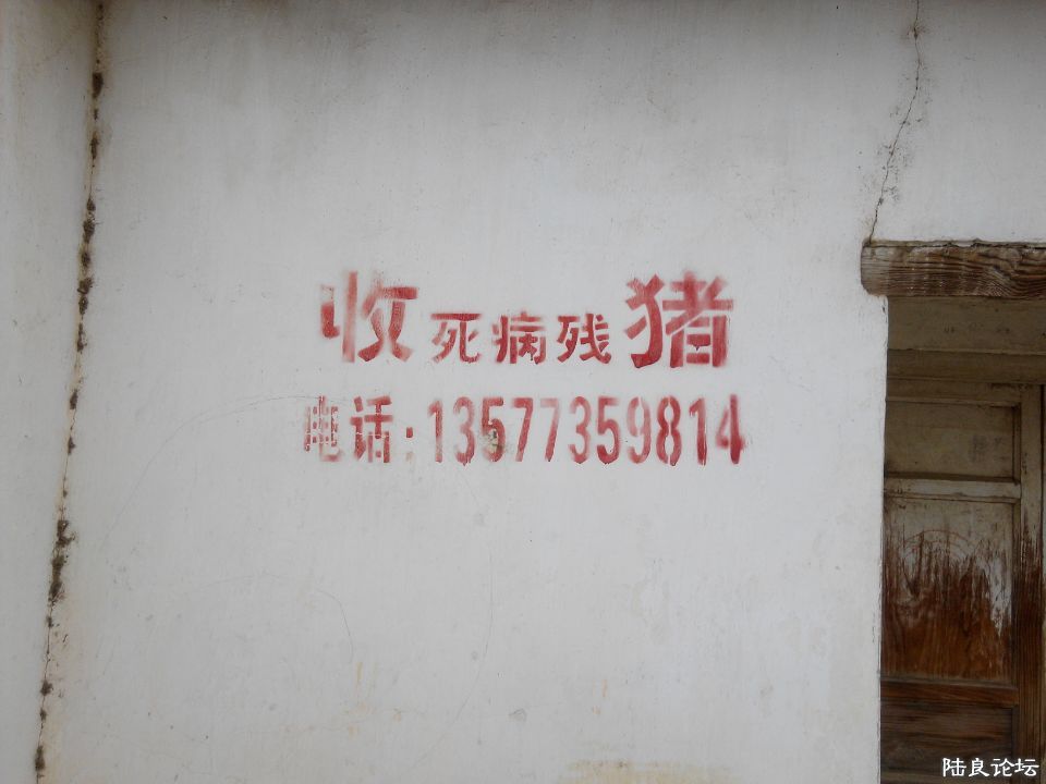 ½��Ѧ�ٱ���������������棬ǿ��Ǵ�𣡣���