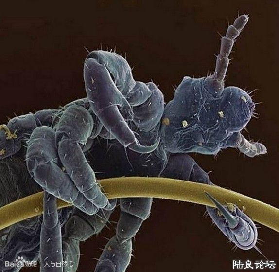 �����ʭ�� 