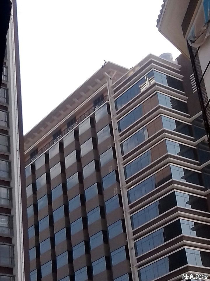 ��������¥��¶��˫��