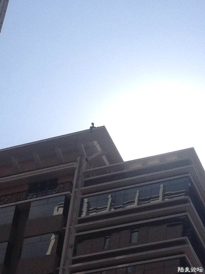 ������¶��˫��������