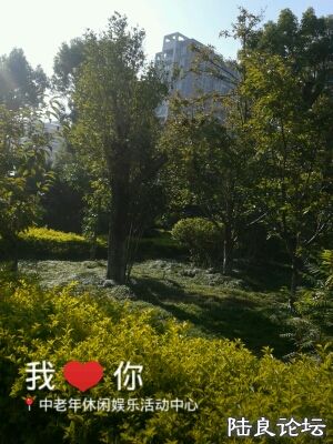 1394445393741 1794585877.jpg