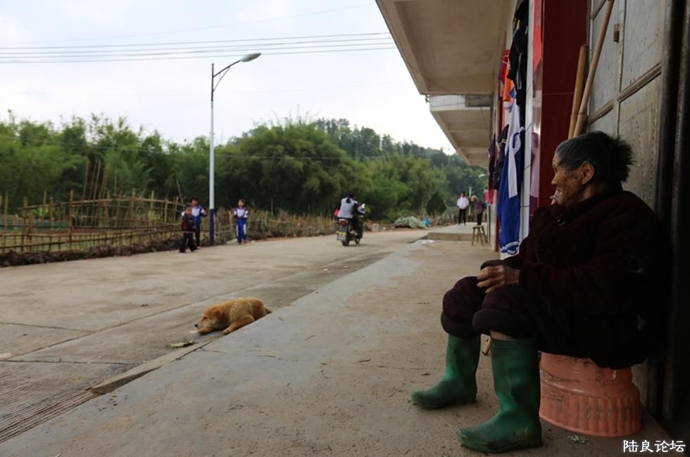 2013��4��6��15��56�֣�71�������������һ���������ھӼ��ſڴ�������������˵���ǿͼһ����Һ������壬ֻ ...