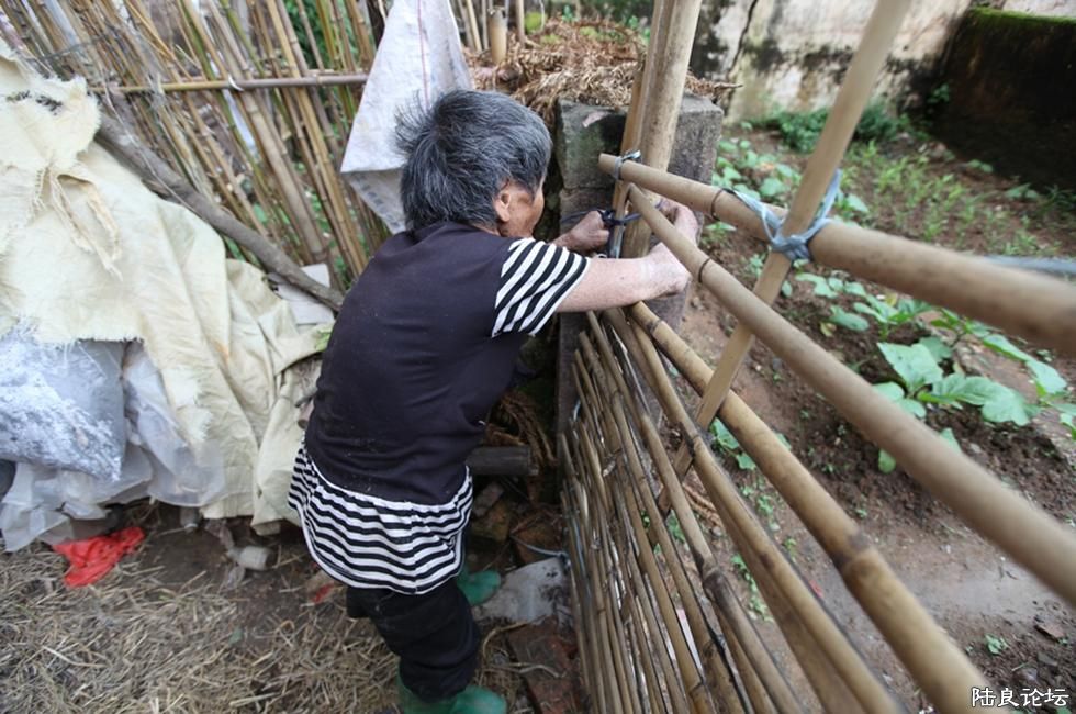 2012��4��24��16��31�֣��緹���緹��û�гԵ��������������ݺ���Ĳ˵أ�������ͷ�εò���ô�����ˣ�Ҳ�� ...