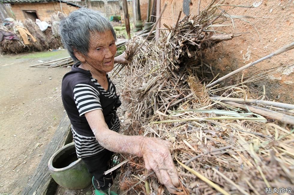 ��ϴ��ˣ���ϴ�����������з��ؼ���׼���ɲ��������ˣ�����Щ�ɲ�������ǰ�����廹���Ե�ʱ����ɽ���ģ� ...