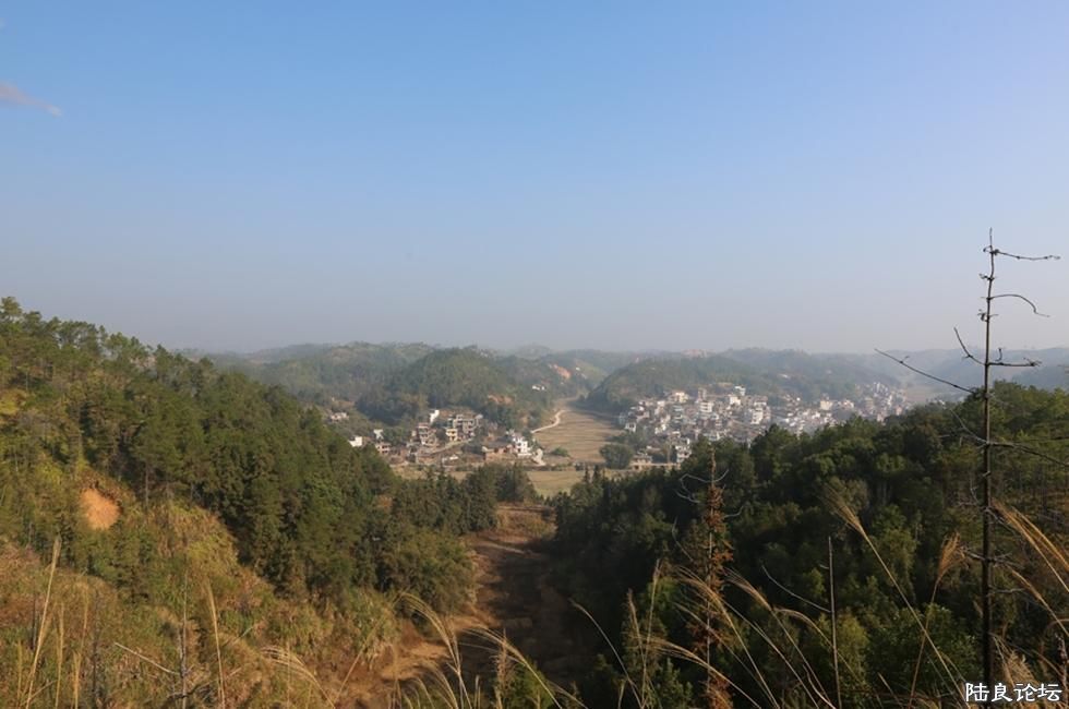 ���������󣬴����˽��������������᳡�𻯣������1700Ԫ��������˵�����޶���Ů������ʡǮ��ʡ�£������ ...