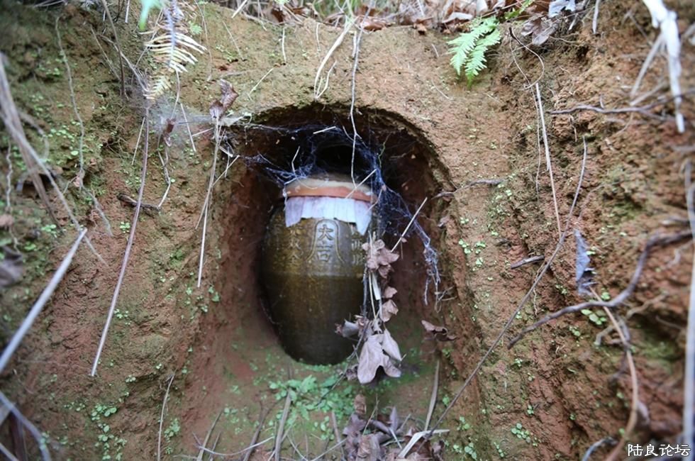 2014��1��31�գ����³�һ��������ı������ڴ������˷������ţ������ɽ�»Ĳ�������еĹǻҹ��Ѿ��� ...