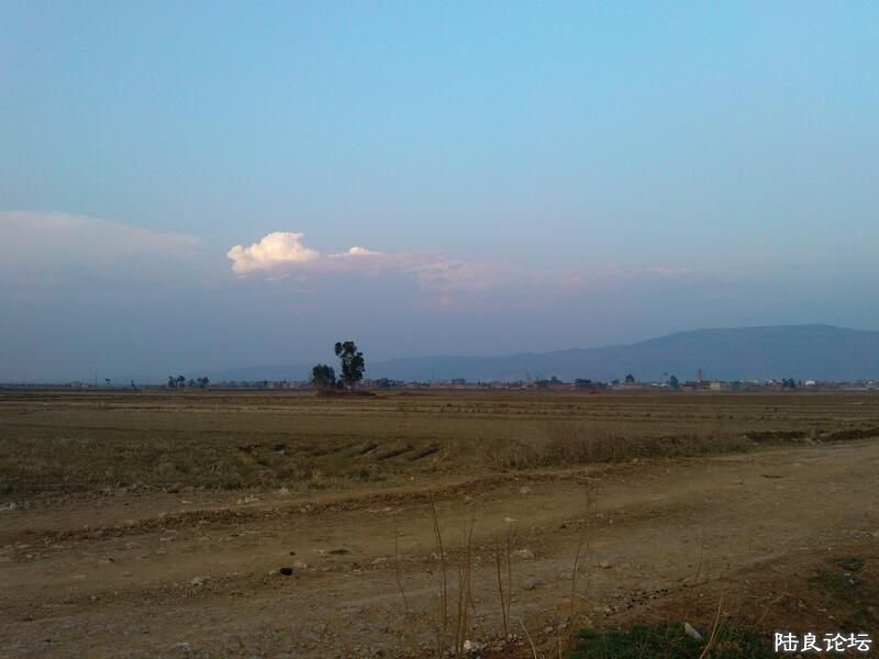 ���ļ�¼��-�������µ���Ұ