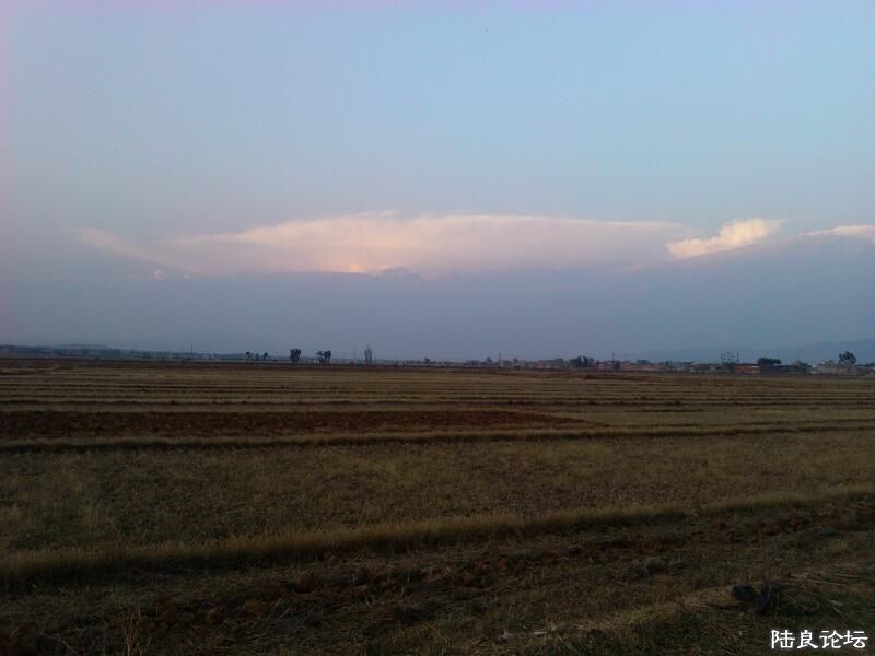 ���ļ�¼��-����ϣ������Ұ