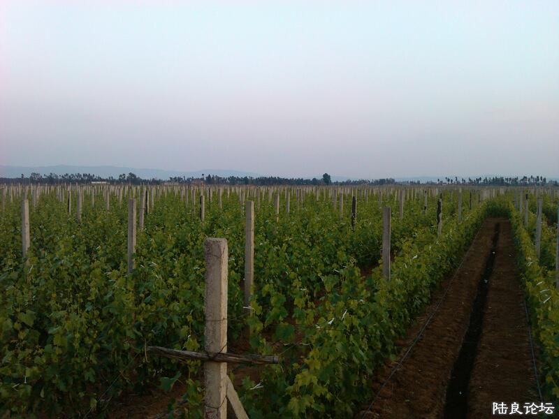 ���ļ�¼��-������԰����