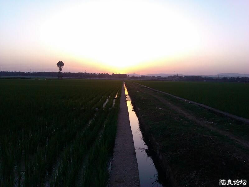 ���ļ�¼��-�������ε�����