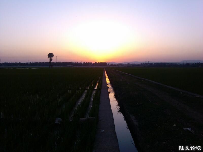 ���ļ�¼��-���������а�����������Ұ