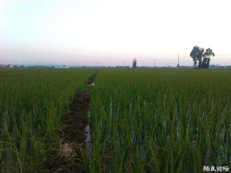 ���ļ�¼��-�����������-�Ǿ���ϣ��