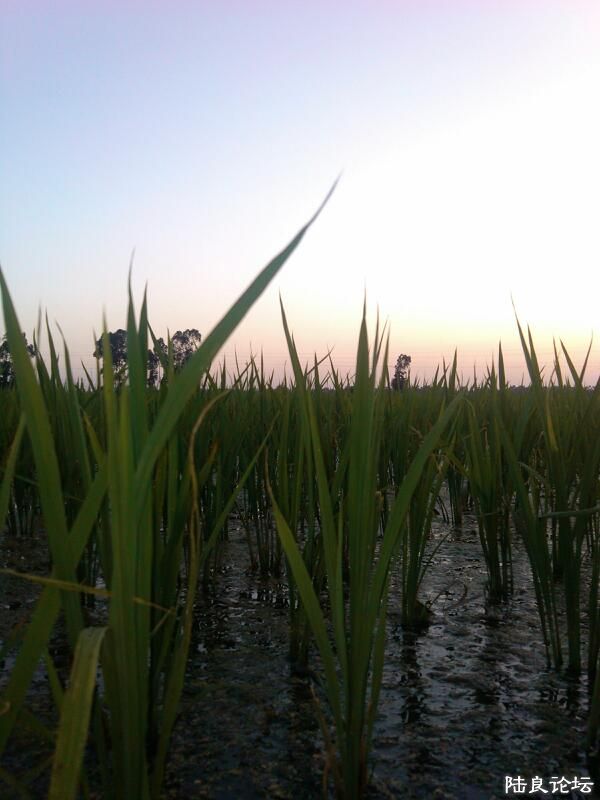 ���ļ�¼��-������Ҳ������