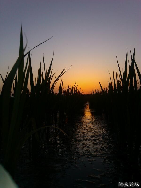 ���ļ�¼��-������ζ����Ľ���