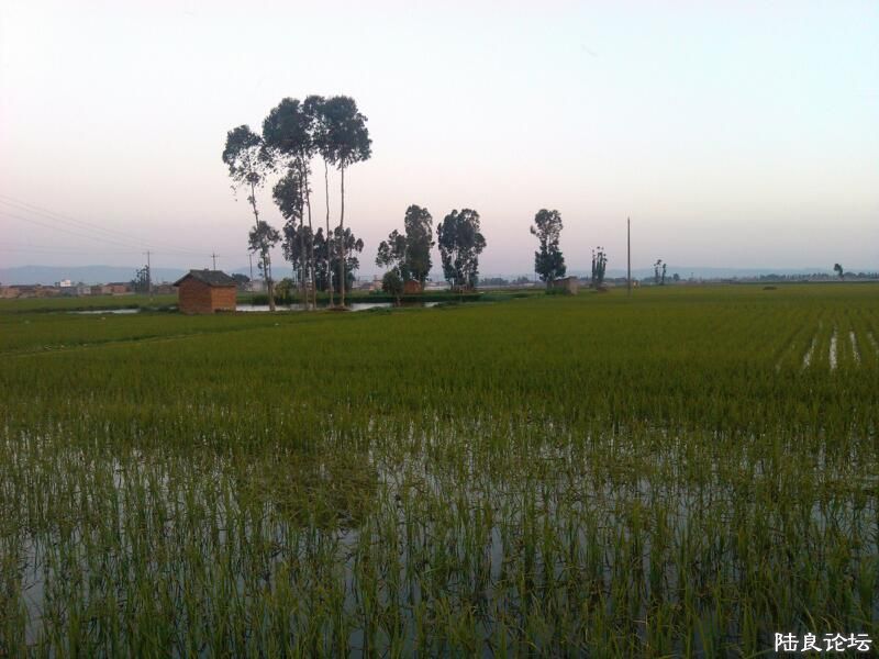 ���ļ�¼��-��������һ��ĺ���Ļ���