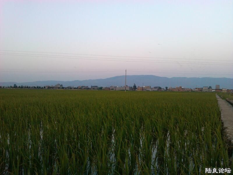 ���ļ�¼��-��������