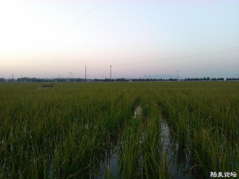 ���ļ�¼��-������������