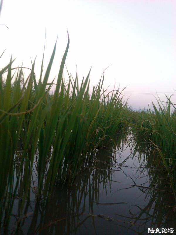 ���ļ�¼��-����ˮ���Ļ�