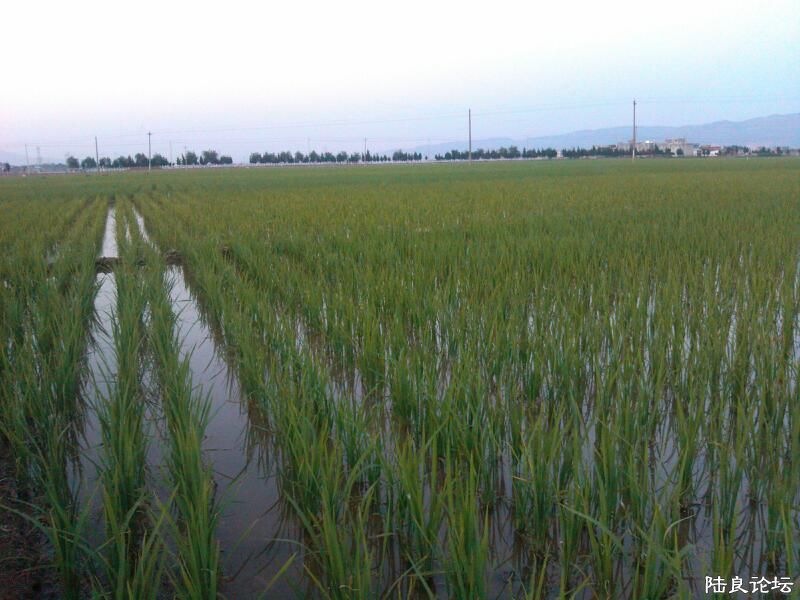 ���ļ�¼��-������������������ˣ��������ϣ��