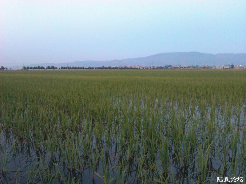 ���ļ�¼��-�����ڳɳ����ڳɳ�...