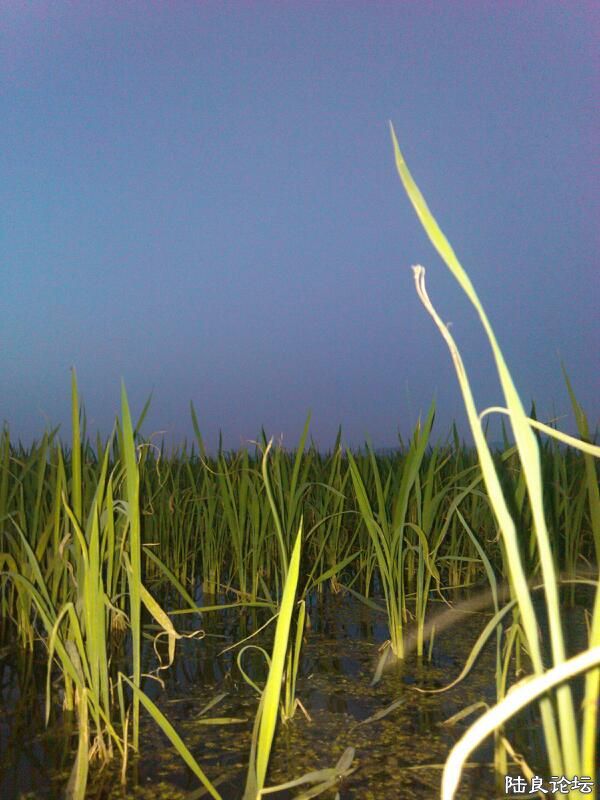 ���ļ�¼��-�����������ͦ��������ҫ�۶�Ŀ