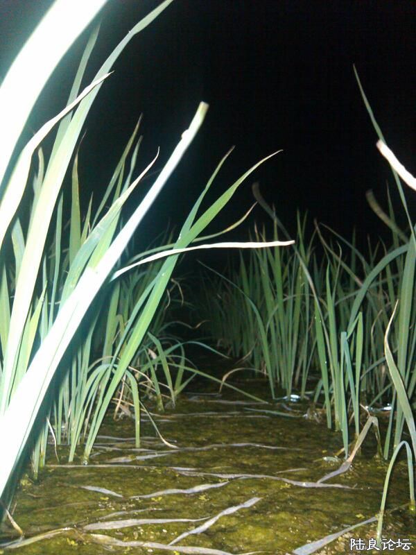 ���ļ�¼��-�������Ǹ�Ƽ��������