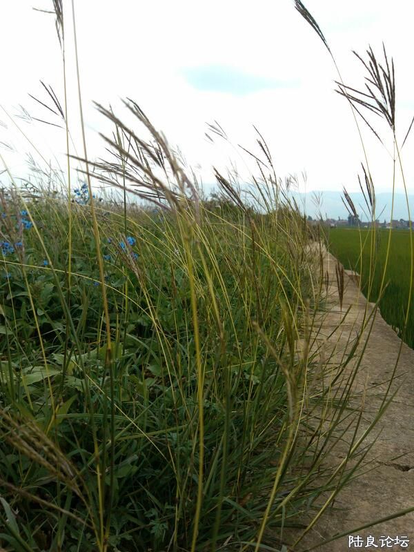 ���ļ�¼��-�������������