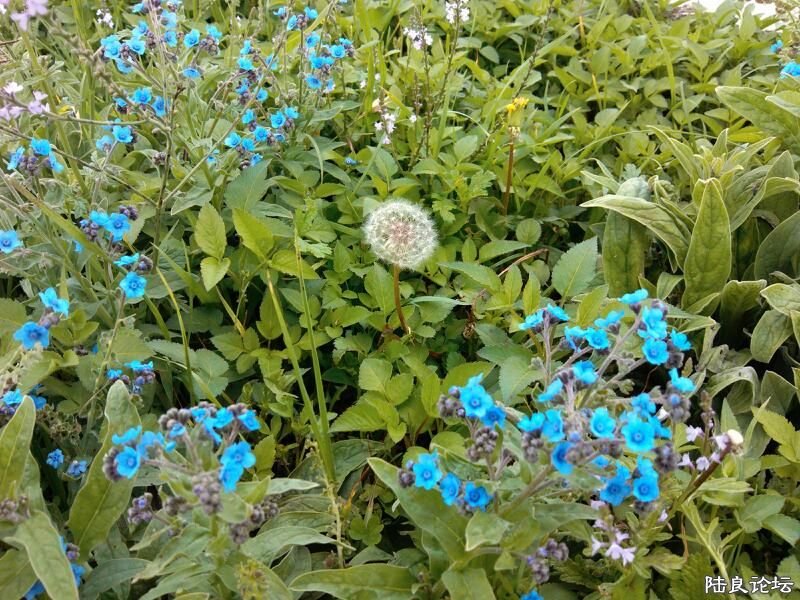 ���ļ�¼��-��������ĸ���������˵