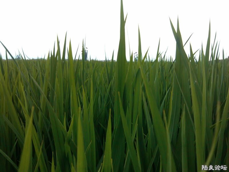 ���ļ�¼��-�ġ����ƣ�����������ϲ���������ĵ��������