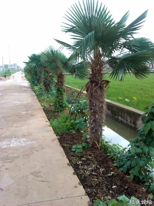 ���ļ�¼��-�ġ���·�Ͻ����ˣ�Ŀ��ҹ�����û�����������������ƻ������������ﹷ���ˣ�Сʱ���Լ���ˣ  ...