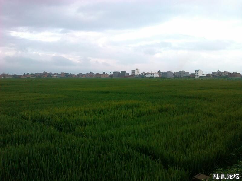 ���ļ�¼��-�ġ������������Ұ