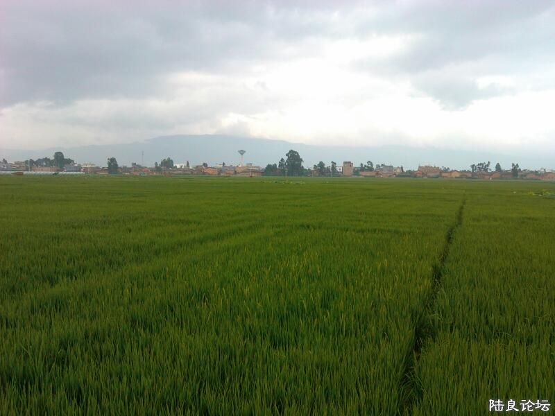 ���ļ�¼��-�ġ���Ӧ���Ǽ��������ԭ��ɫ��