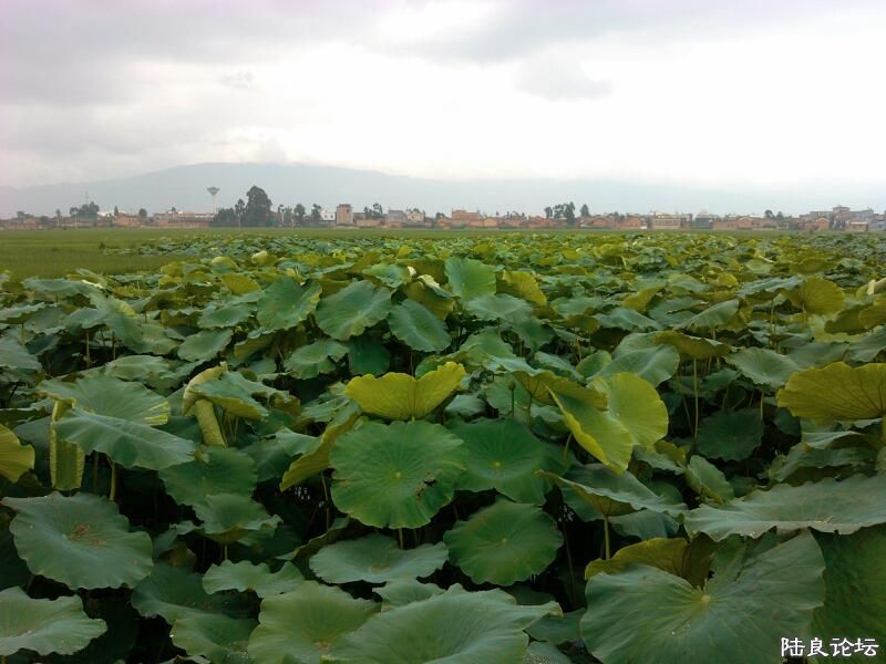 ���ļ�¼��-�ġ����ǵ�������ɡ����ĳ����𣬻��о��ǰ��м��ڿ�Ȼ�������������